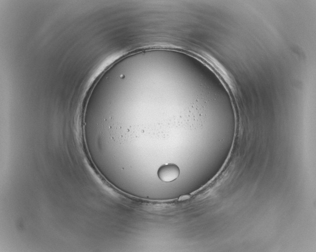 X0000116041293200912041804