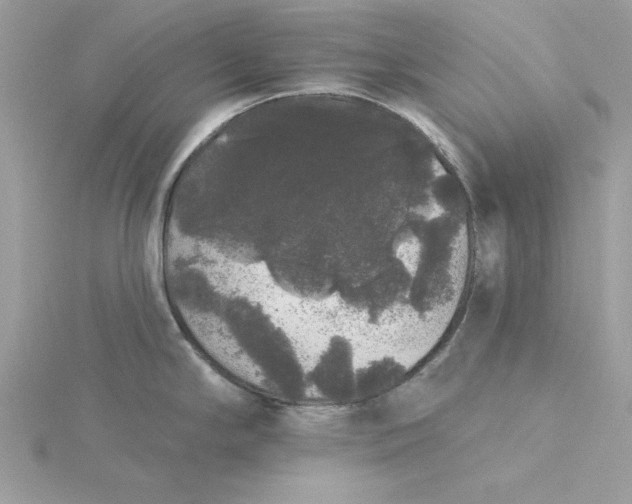 X0000116041294200912041804