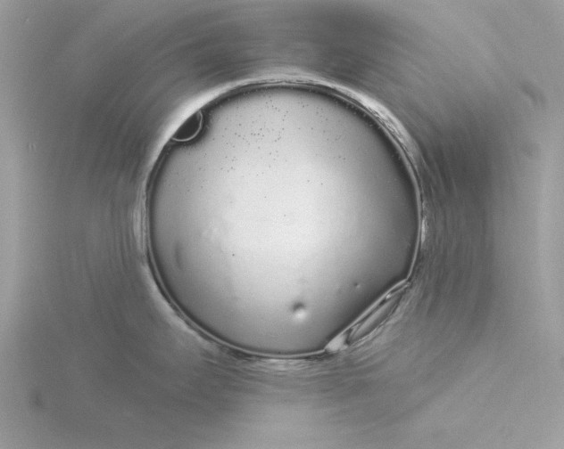 X0000116041295200912041804