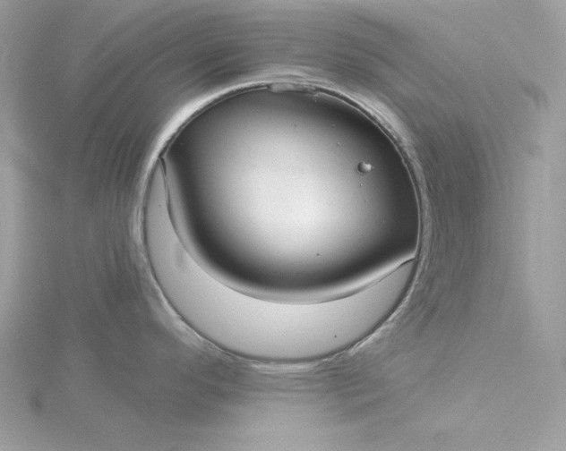 X0000116041296200912041804