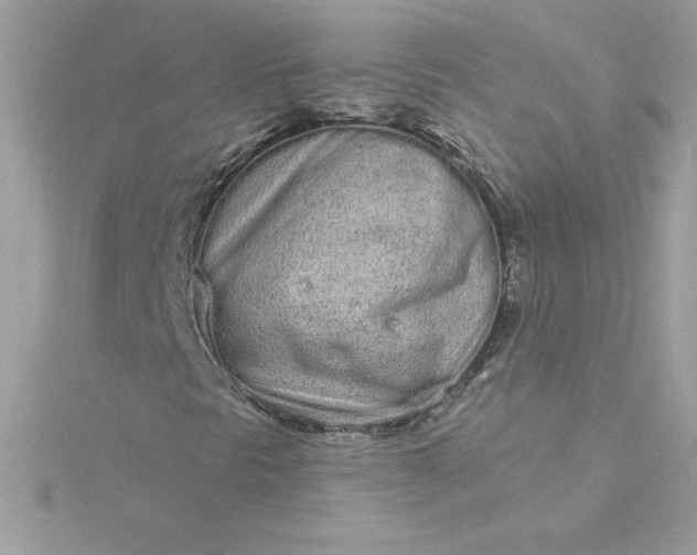 X0000116041297200912041803