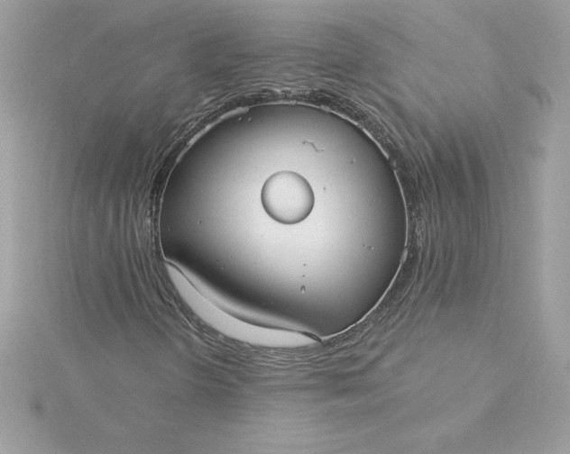 X0000116041298200912041803