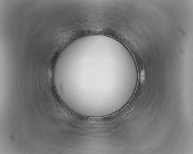 X0000116041299200912041803