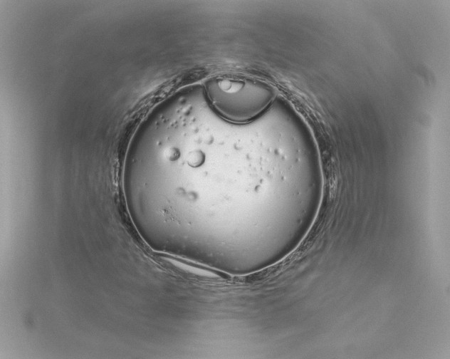 X0000116041301200912041803