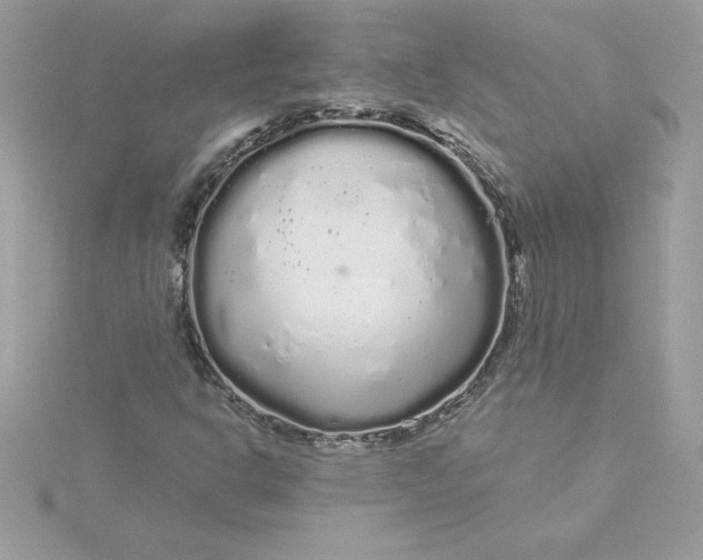 X0000116041302200912041803