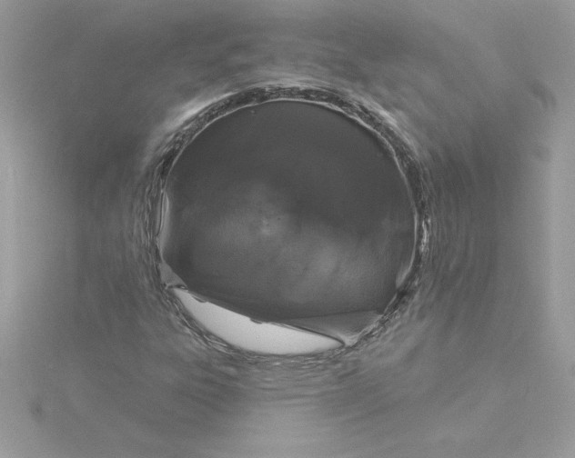 X0000116041303200912041803