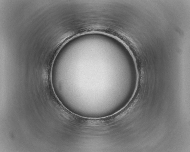 X0000116041305200912041803