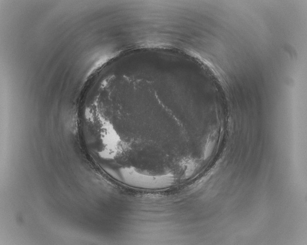 X0000116041306200912041803