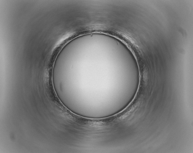 X0000116041309200912041803