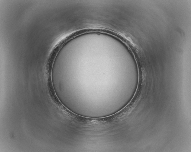 X0000116041311200912041803