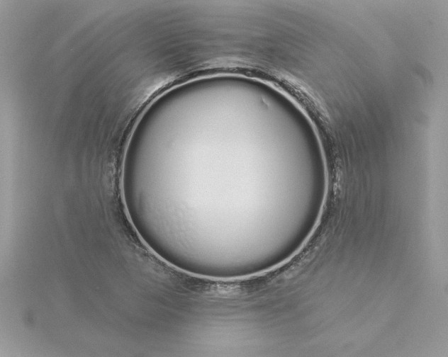 X0000116041313200912041803