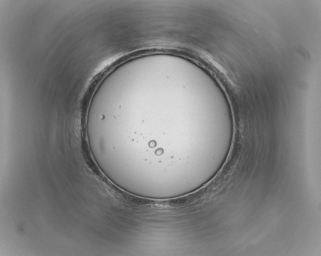 X0000116041315200912041803