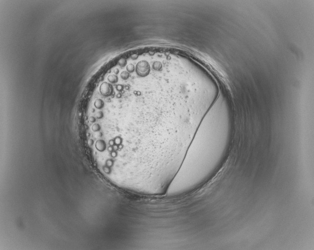 X0000116041318200912041803