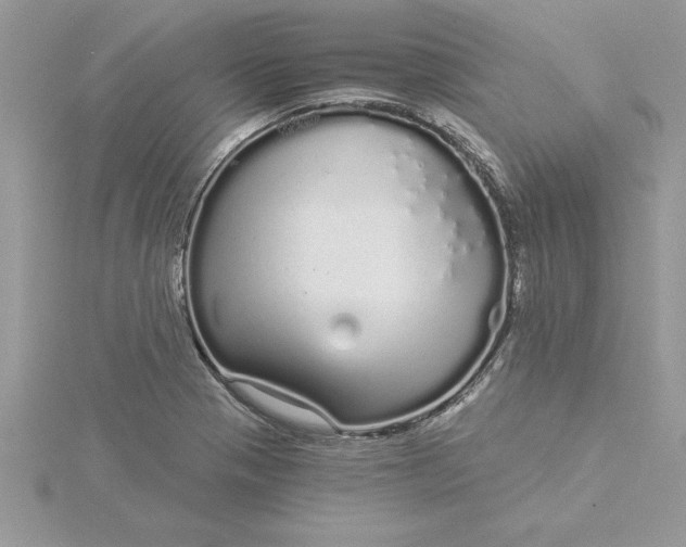 X0000116041321200912041803