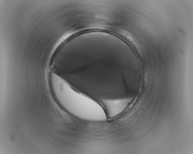 X0000116041323200912041803