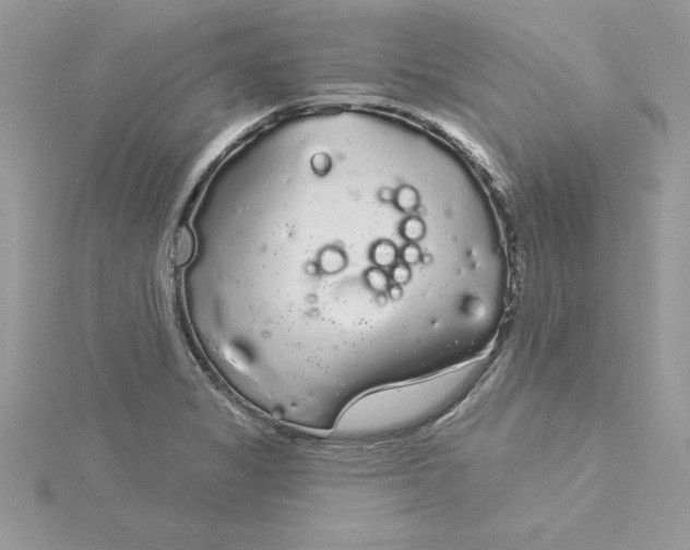 X0000116041325200912041803