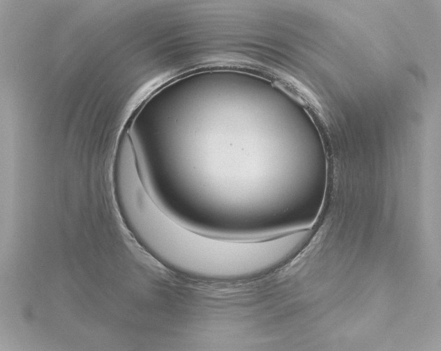 X0000116041330200912041803