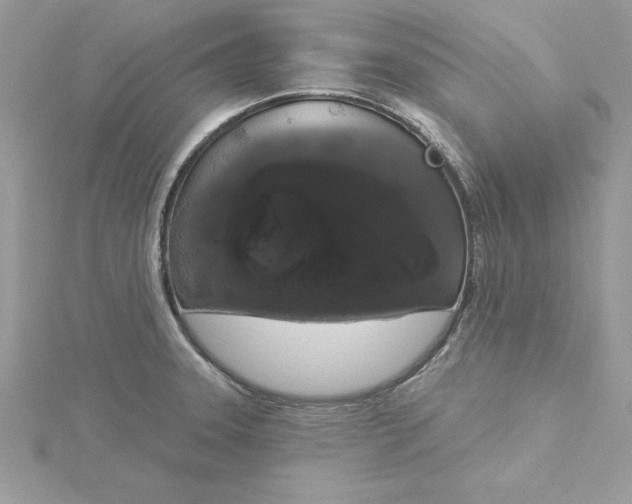 X0000116041331200912041803