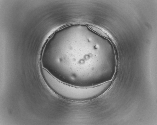 X0000116041333200912041803