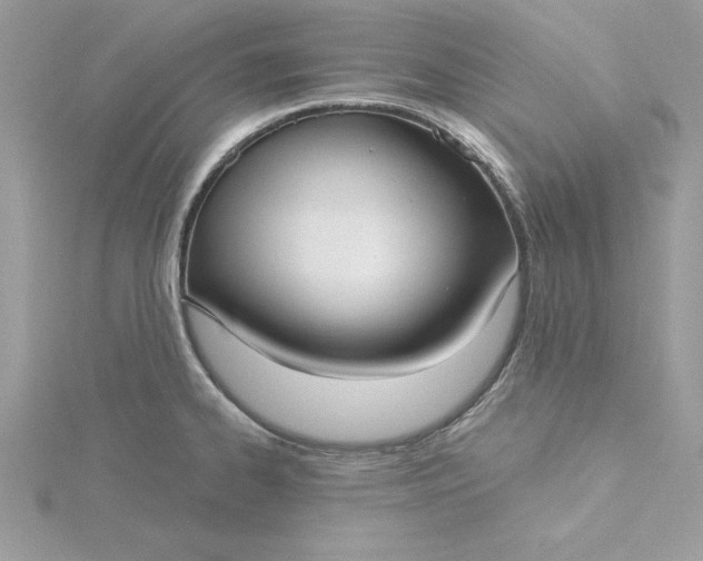 X0000116041334200912041803