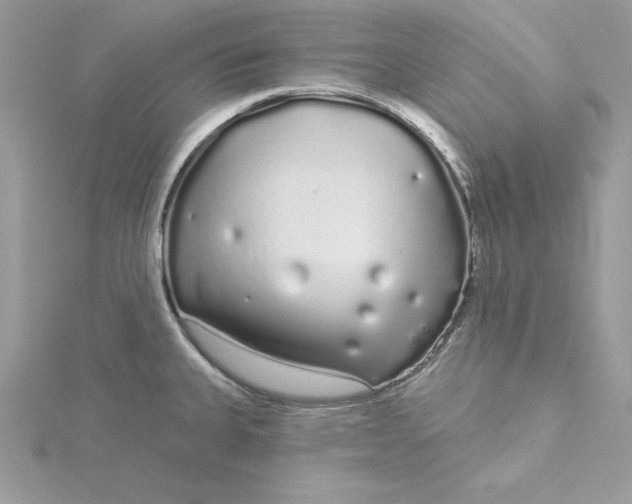 X0000116041335200912041803