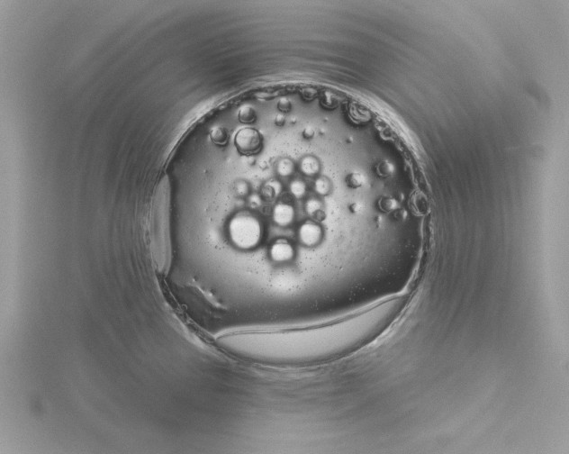 X0000116041337200912041804