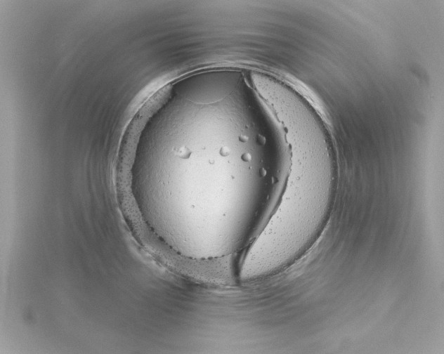 X0000116041338200912041804