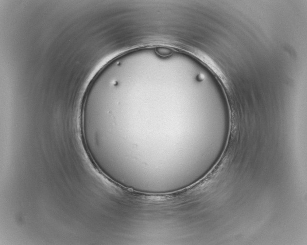 X0000116041339200912041804