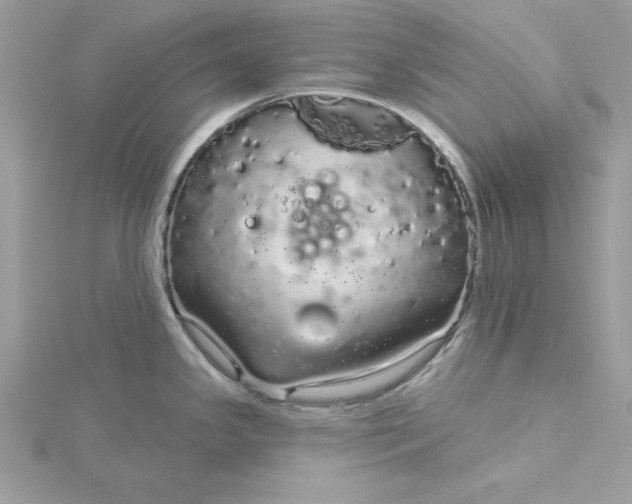 X0000116041341200912041804