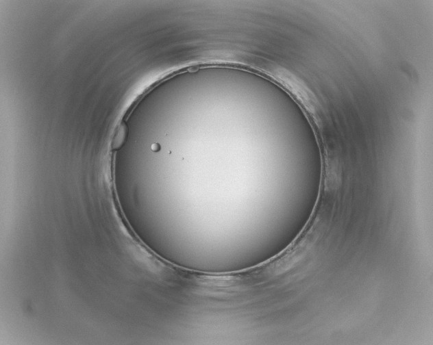 X0000116041342200912041804