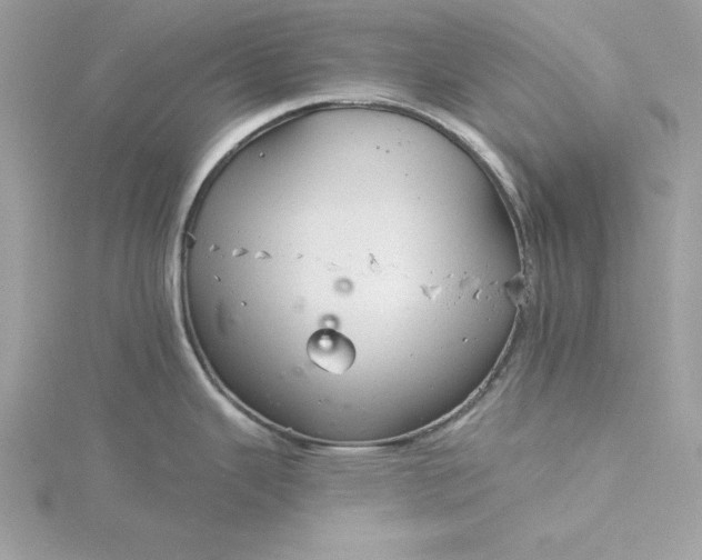 X0000116041343200912041804