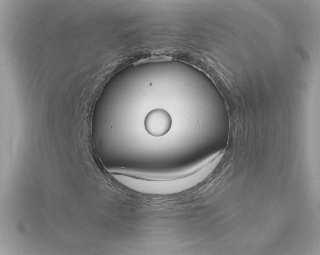 X0000116041345200912041803