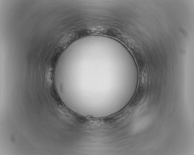 X0000116041346200912041803