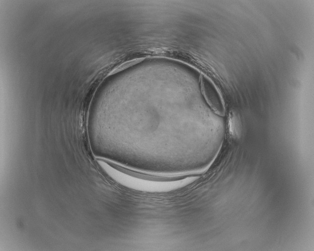 X0000116041347200912041803