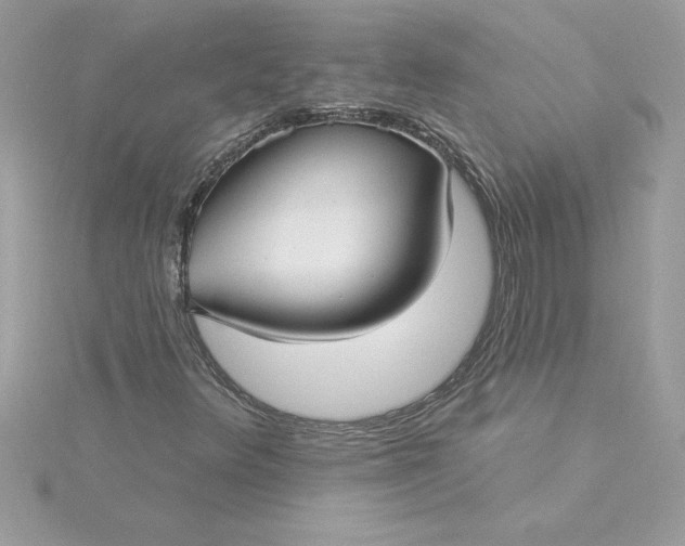 X0000116041348200912041803