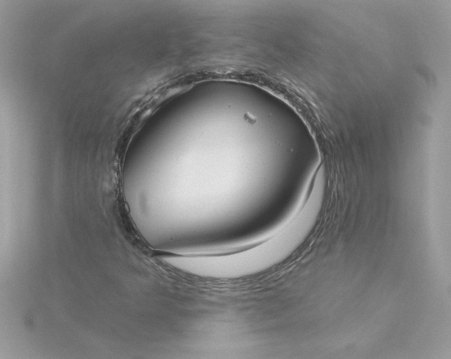 X0000116041349200912041803