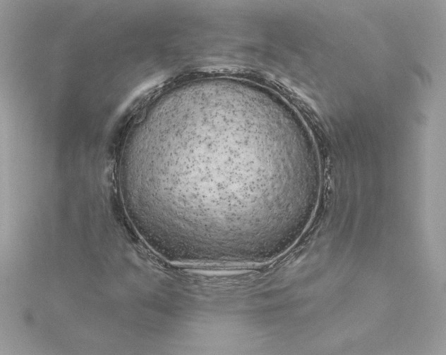 X0000116041351200912041803