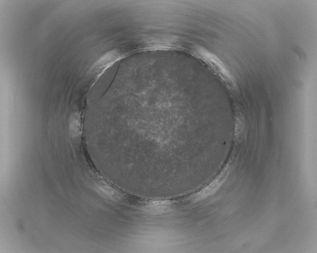 X0000116041353200912041803