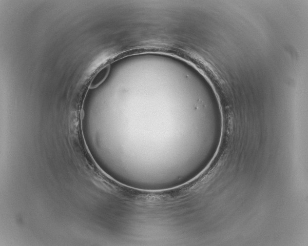 X0000116041355200912041803