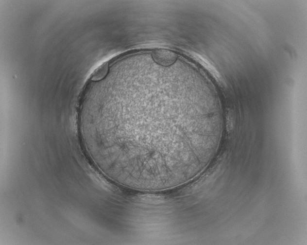 X0000116041356200912041803