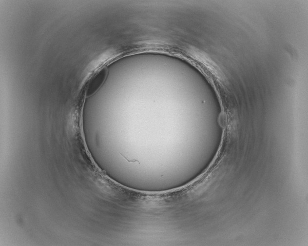 X0000116041357200912041803