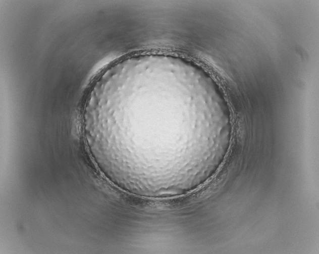 X0000116041358200912041803