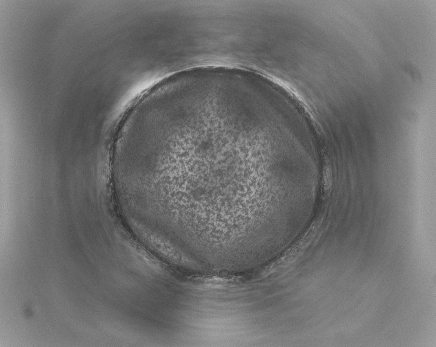 X0000116041359200912041803