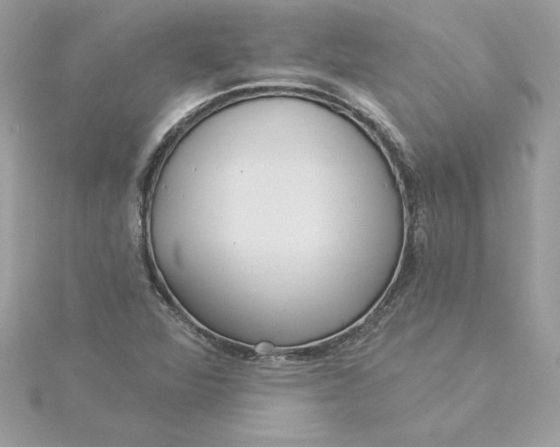 X0000116041360200912041803