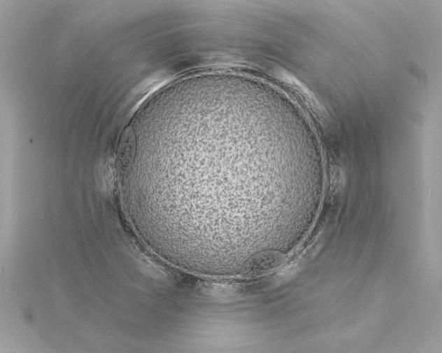 X0000116041361200912041803