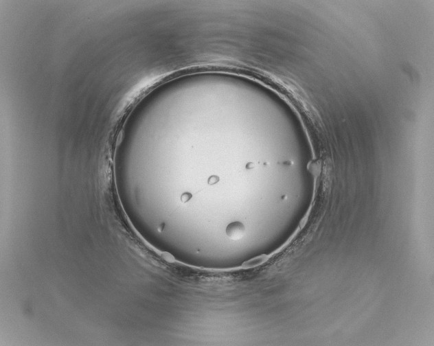 X0000116041363200912041803