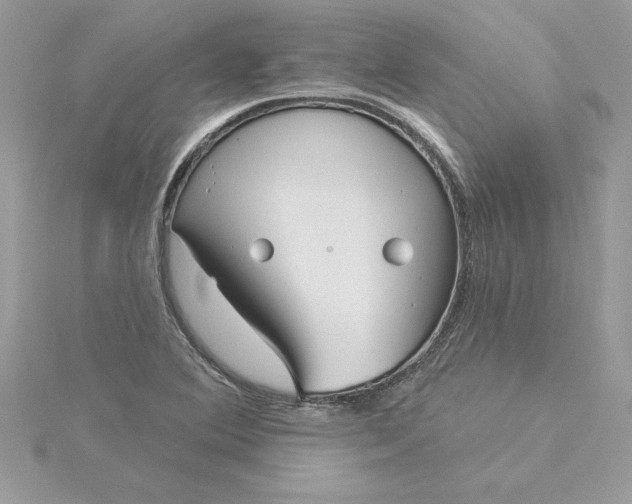 X0000116041364200912041803