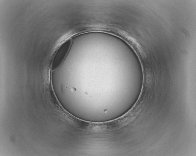 X0000116041365200912041803