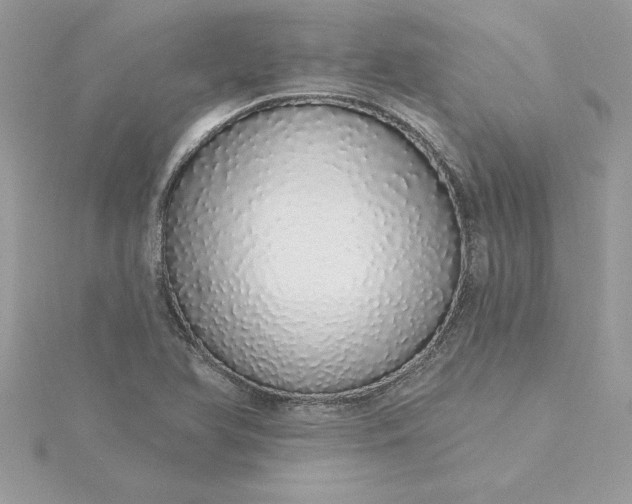 X0000116041366200912041803