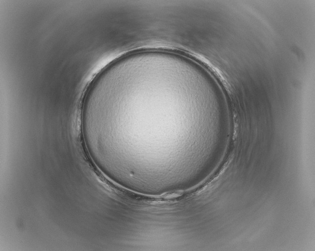 X0000116041367200912041803